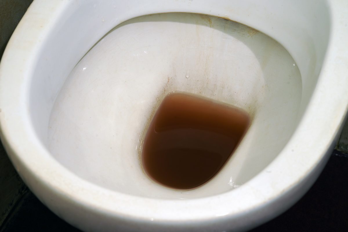 Featured image for “Why Is My Toilet Water Brown?”